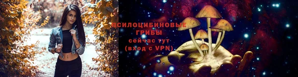 ГАЛЛЮЦИНОГЕННЫЕ ГРИБЫ Балабаново