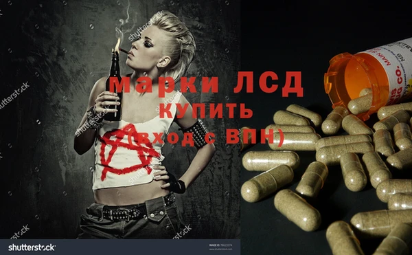 ГАЛЛЮЦИНОГЕННЫЕ ГРИБЫ Балабаново
