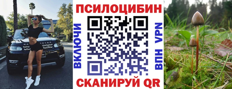 купить   маркетплейс Telegram  Псилоцибиновые грибы мухоморы  Вольск 